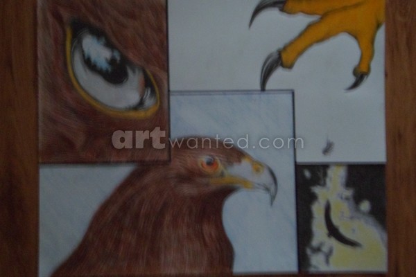 pics 007