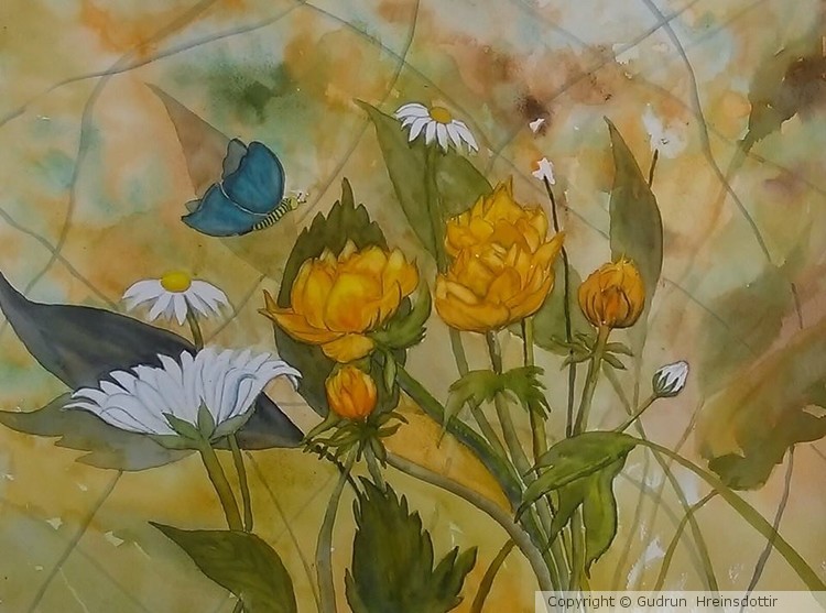 A look in the garden 