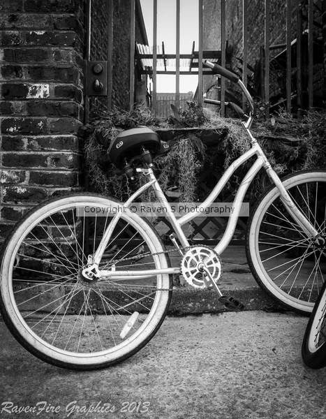 Bike Rest