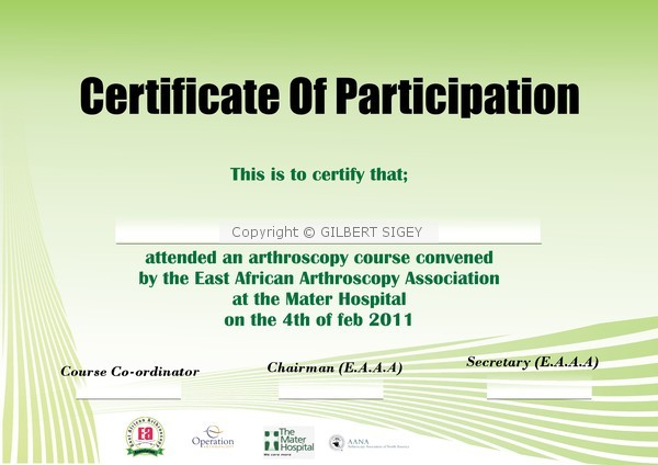 Eaaa Cert II