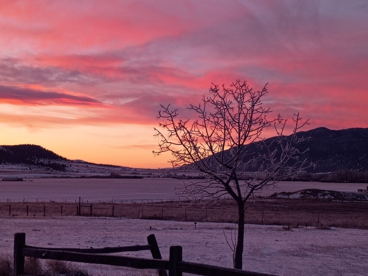 photography by Lettie 