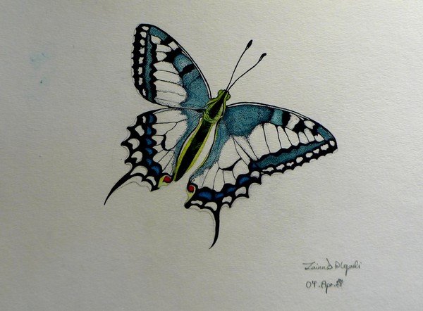 Butterfly 2