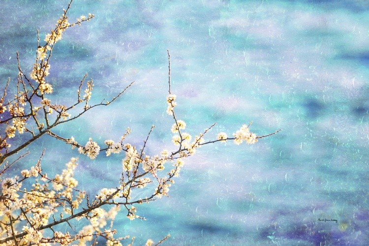 Spring Poetry