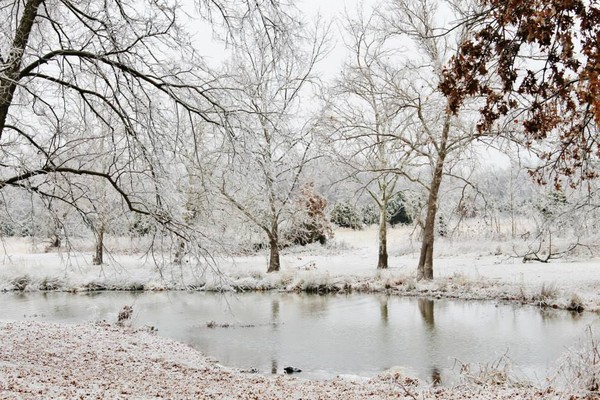 pond photo