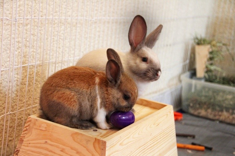 JUST SO CUTE