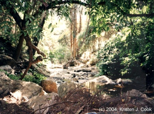 Stoner's Creek