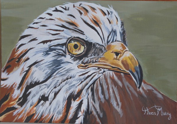 Eagle view