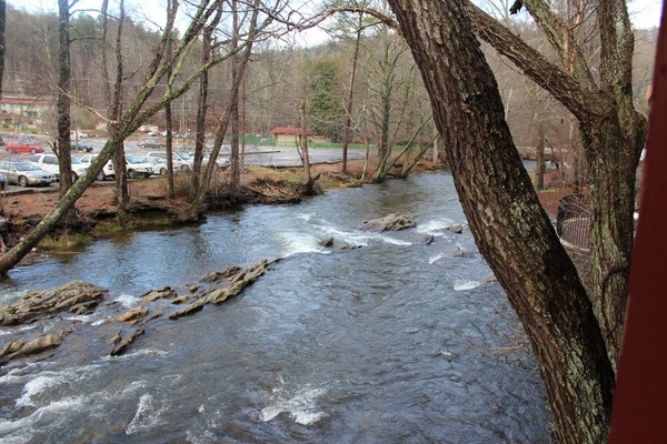 By the Stream