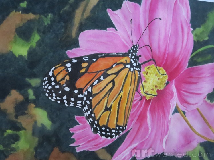 Butterfly and Cosmos