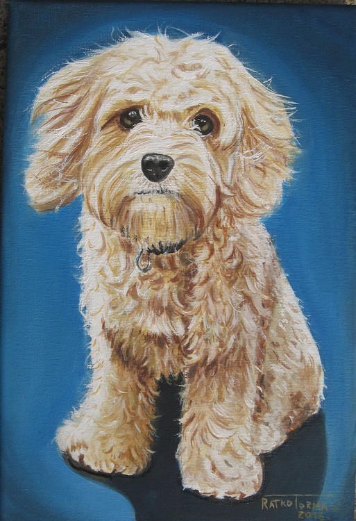 little dog