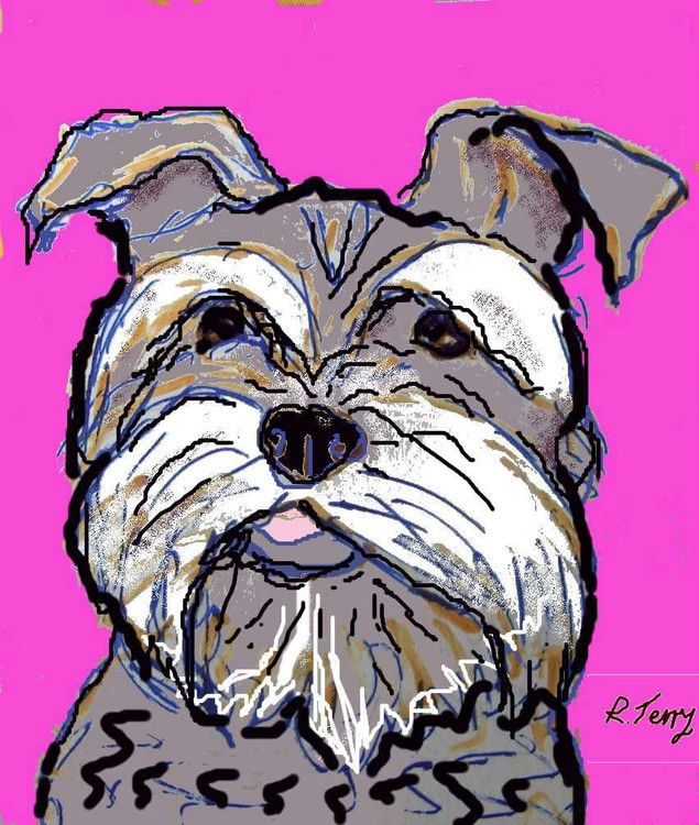miniatureschnauzer