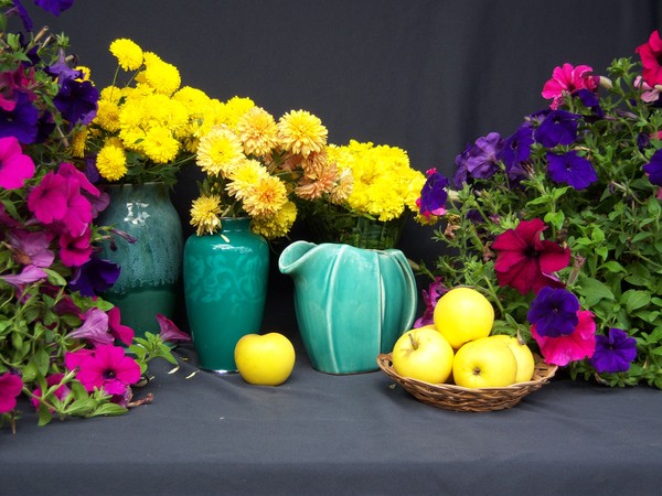 Flowers 4