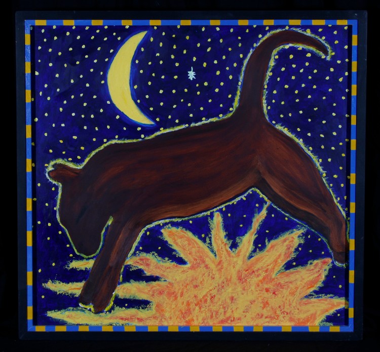 cat jumps the sun