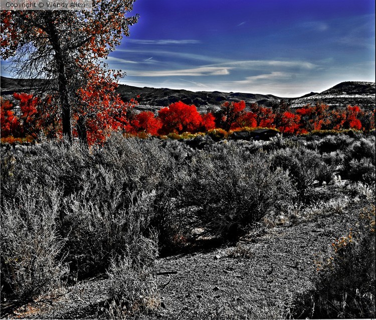 Desert Calm