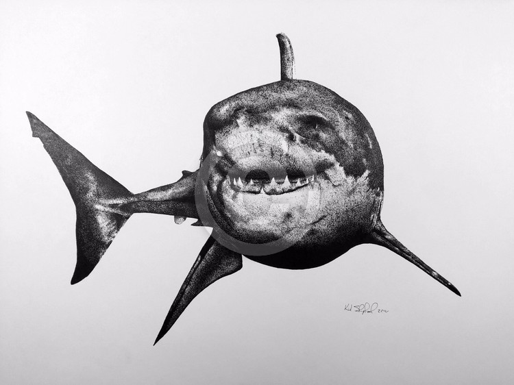 Great White