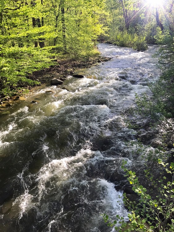 Moormans River