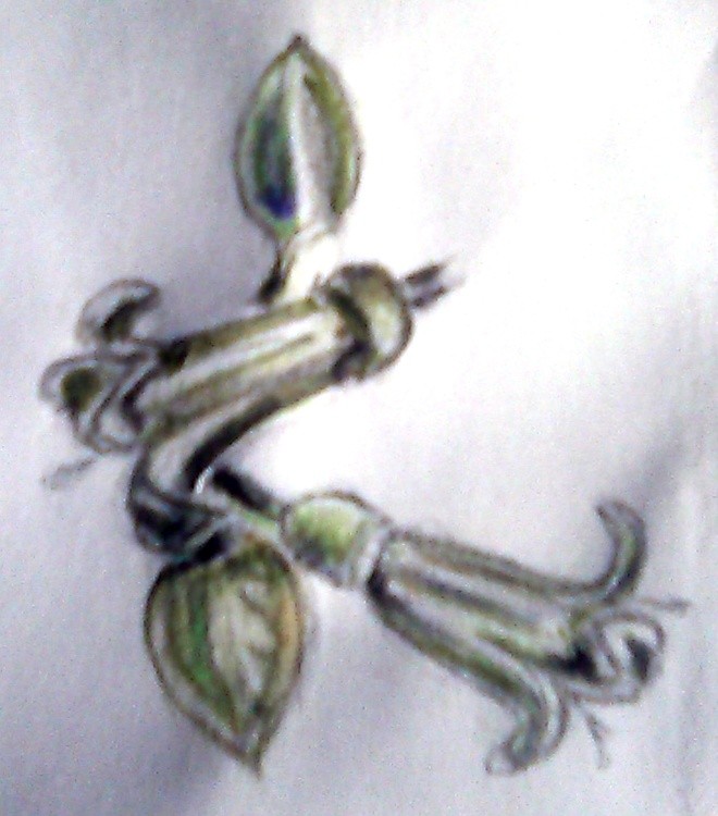 White Australian Fuchsia Sketch