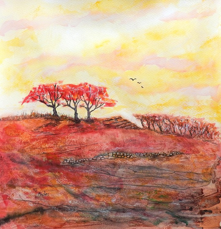 Maples 