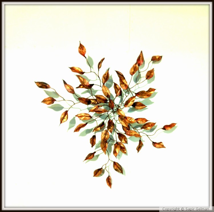 Autumn Leaves