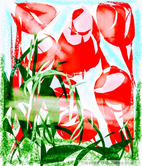 Red Tulips