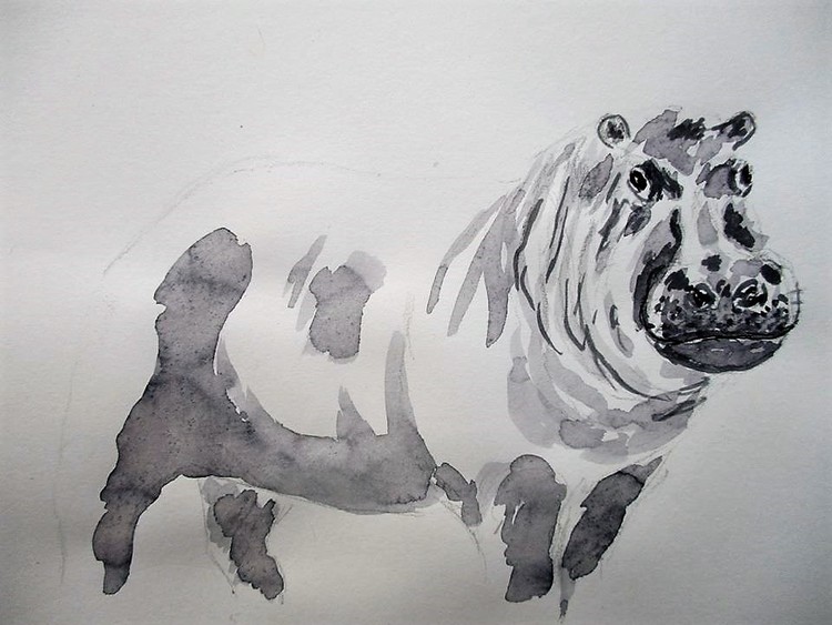 hippo