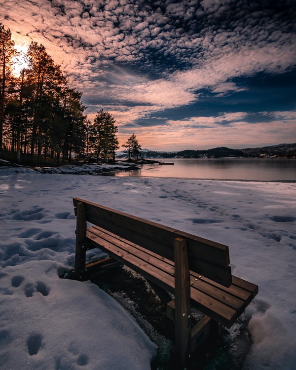 Bench in the snow