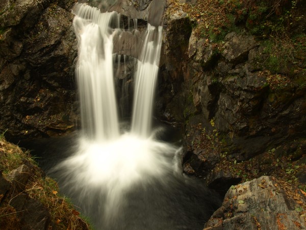 Shackelford Falls 6