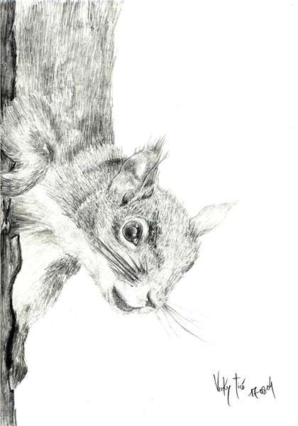Squirrel