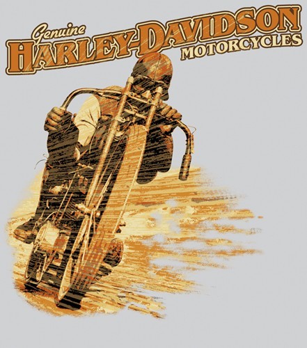 VINTAGE RACER--HARLEY-DAVIDSON