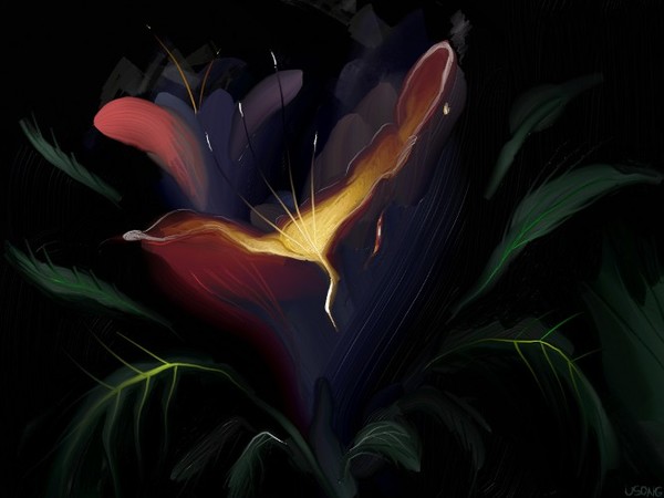 Dragon Flower