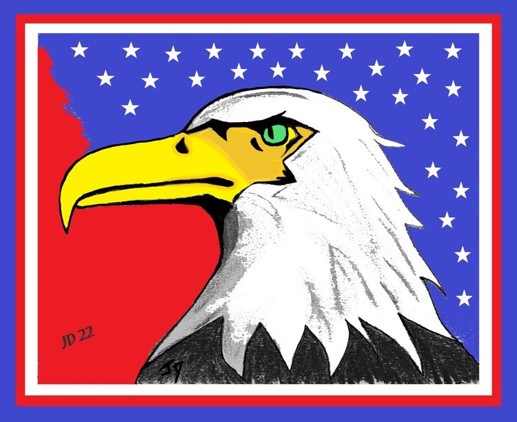 Eagle Head Stars 3D