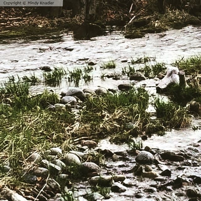 flooded creek