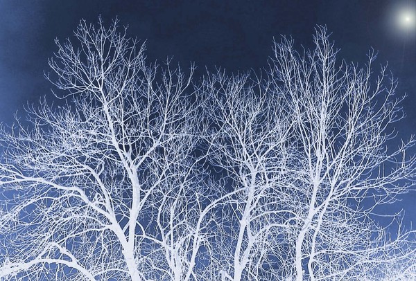 Winter Is Here......
