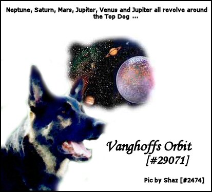 Orbit