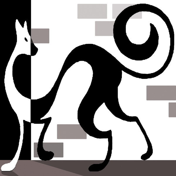 pusycat