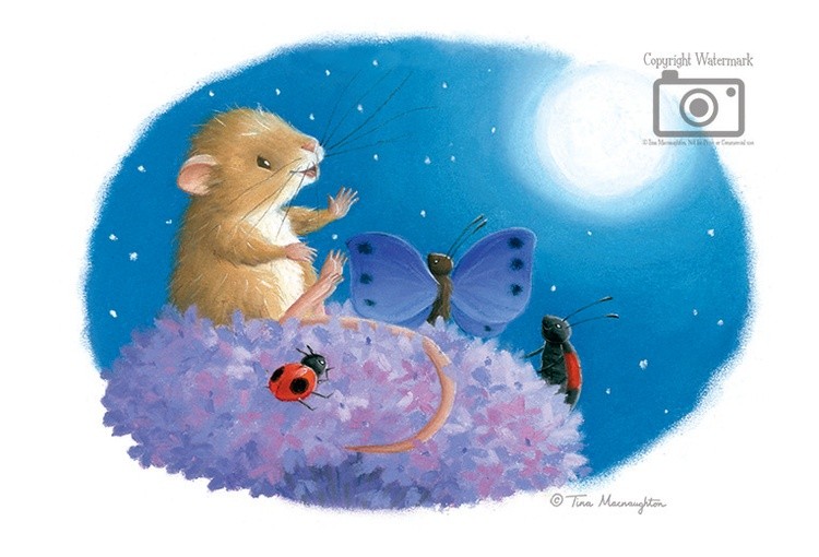 Mouse and the Moon - Page 8 - 20x15 - 8x6 - Website JPEG - WM100R