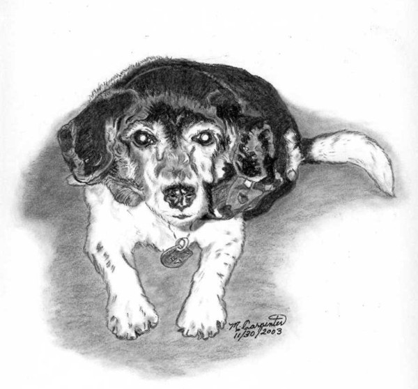  The little dog