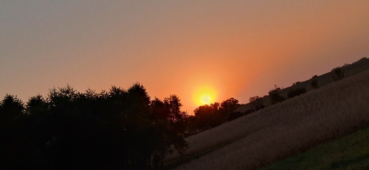 20201007 183824 HDR