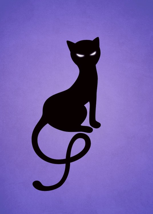 Gracious Black Cat