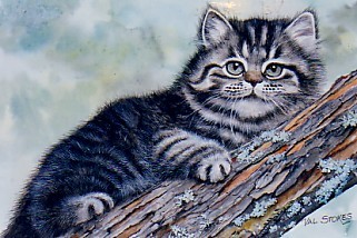 Kitty Capers
