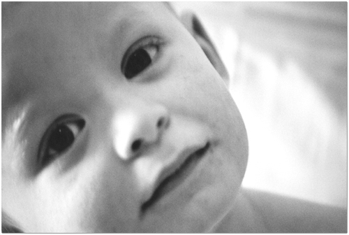 portrait of a boy.