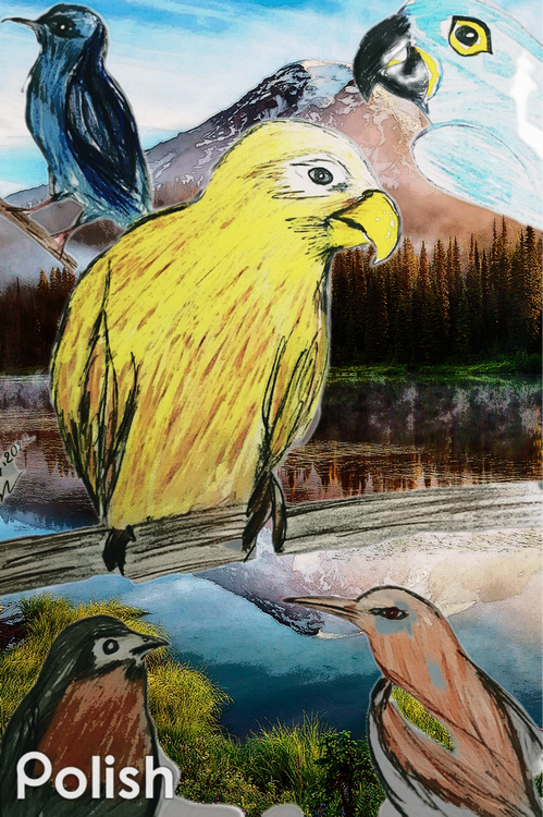 The birds in the nature