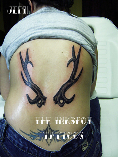 antlers