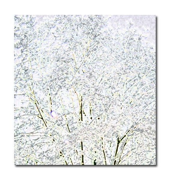 New March Snow