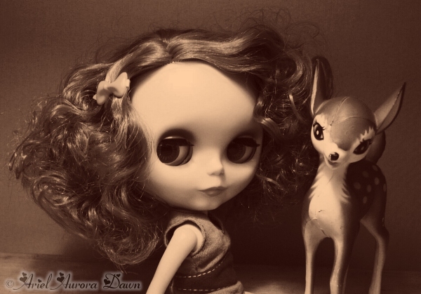 Fawn