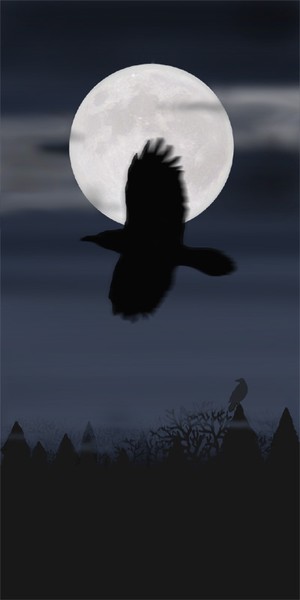Raven Flight