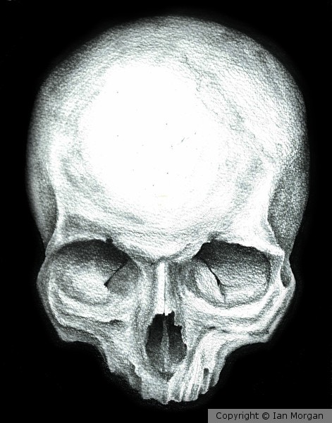 Skull