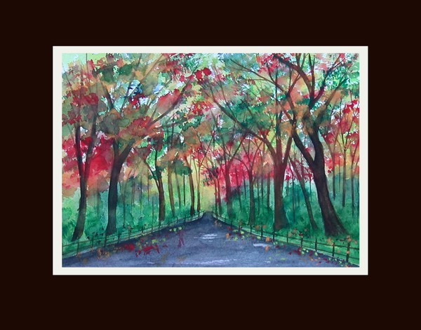 A Walk Through Colors