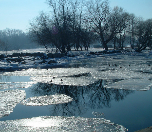 peace and cold