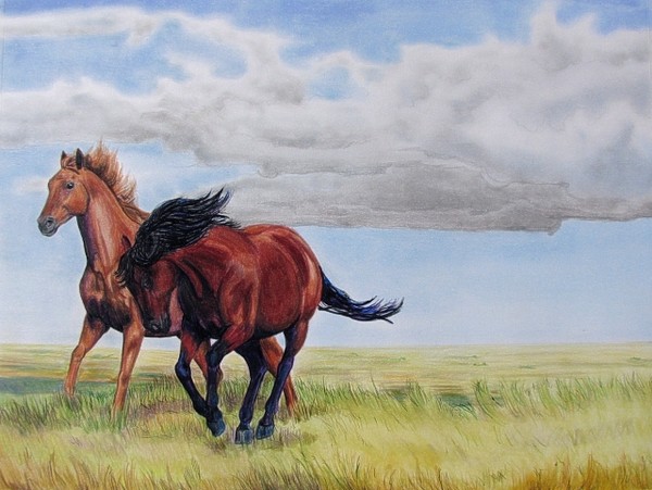 Alberta Spirit